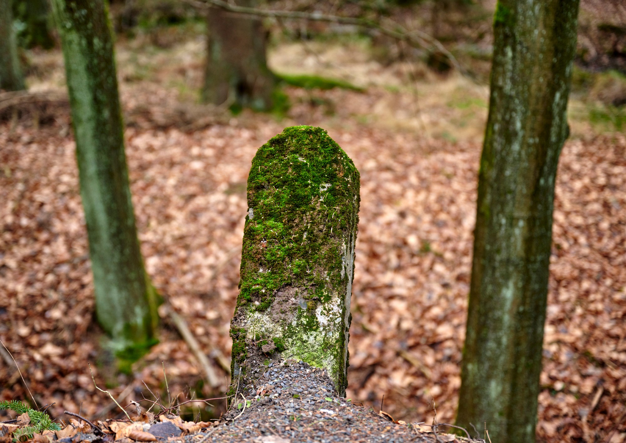 2021-01-01-06899