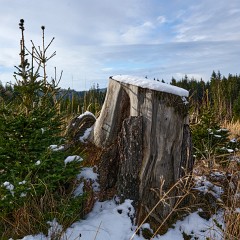 2021-01-01-06844