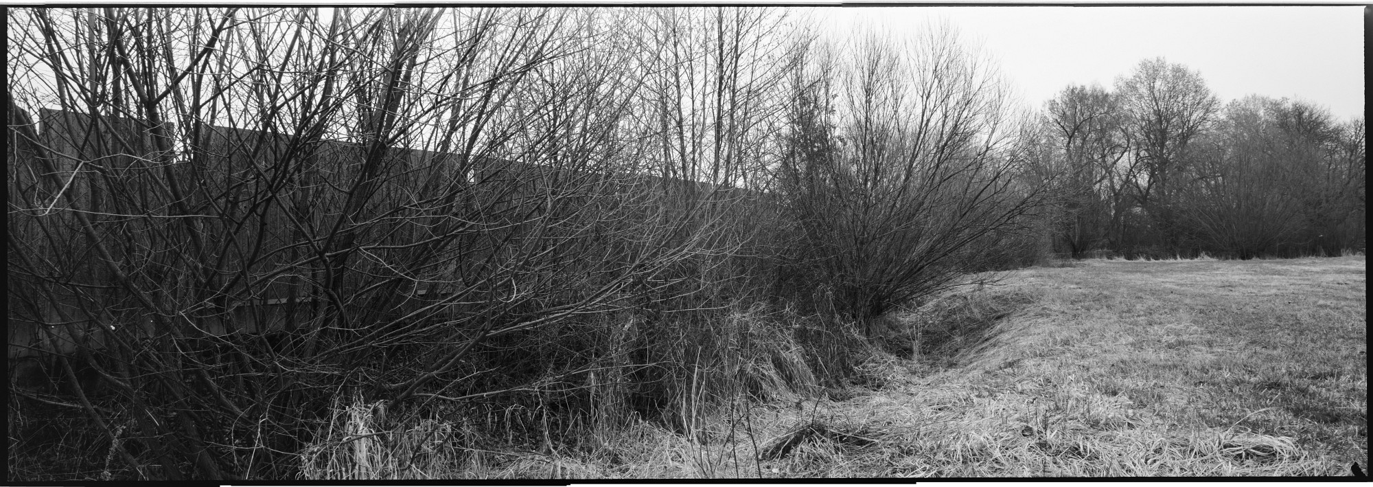  DSC6130-Pano