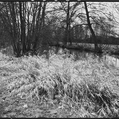DSC6154 : Cernice, Foma400, HC, Mamiya7, Plzen, Reka