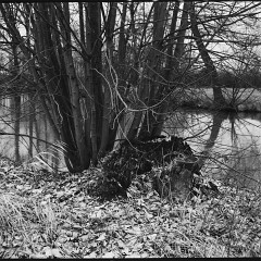DSC6155 : Cernice, Foma400, HC, Mamiya7, Plzen, Reka