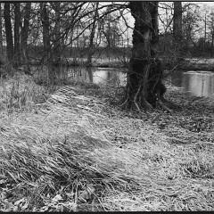 DSC6156 : Cernice, Foma400, HC, Mamiya7, Plzen, Reka