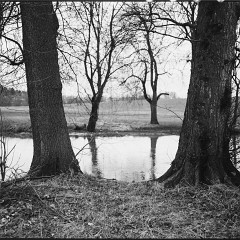 DSC6159 : Cernice, Foma400, HC, Mamiya7, Plzen, Reka