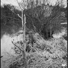 DSC6162 : Cernice, Foma400, HC, Mamiya7, Plzen, Reka