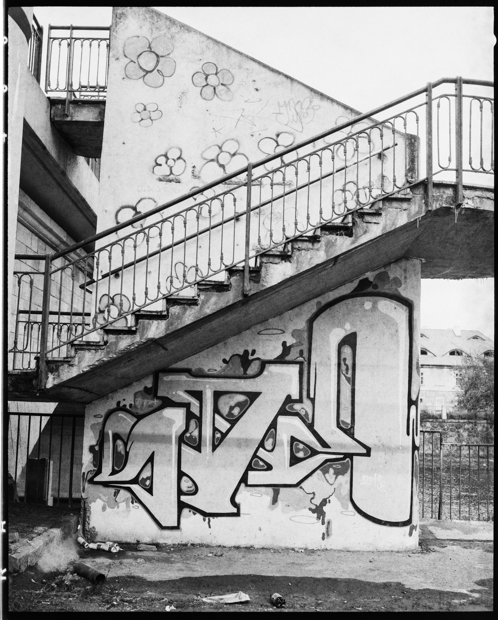  DSC6164