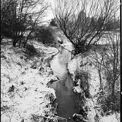DSC6179 : Foma200, Mamiya7, Myto