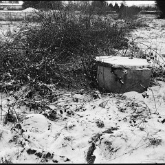 DSC6181 : Foma200, Mamiya7, Myto
