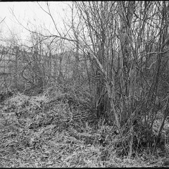 DSC6183 : Foma200, Mamiya7, Plzen