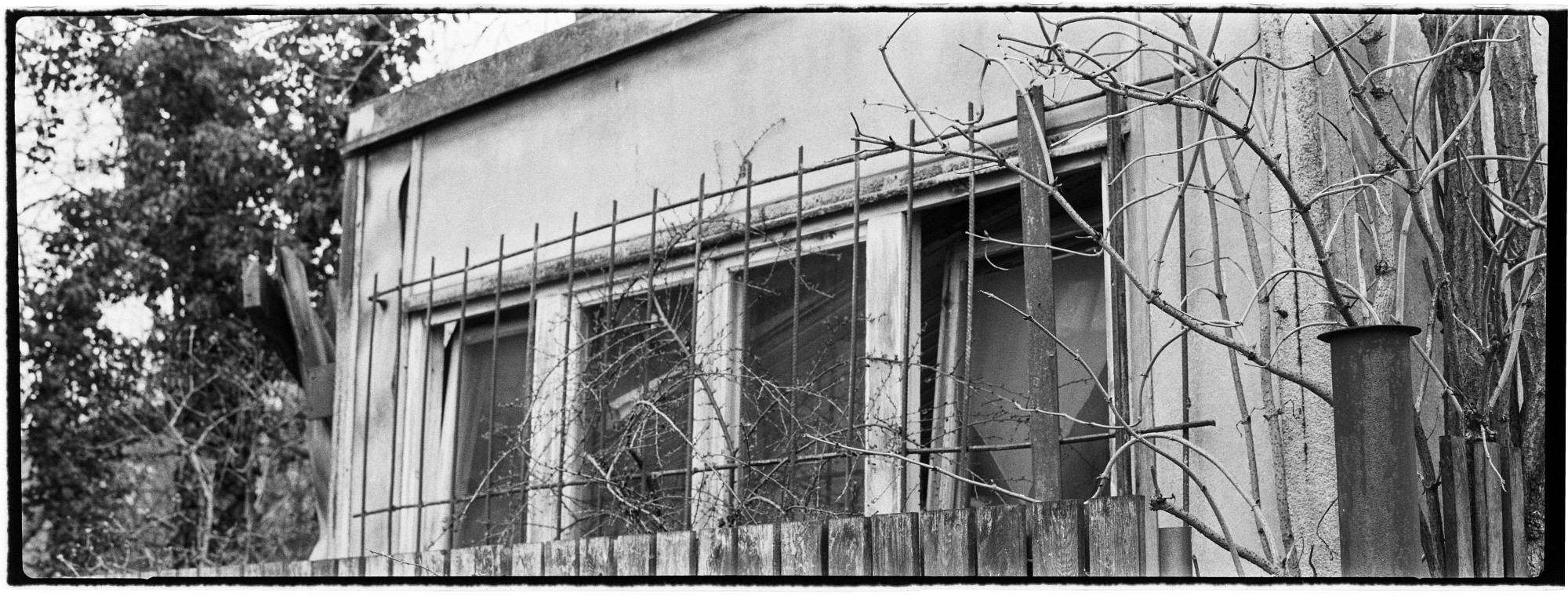 67pan-bw-2024-007-01