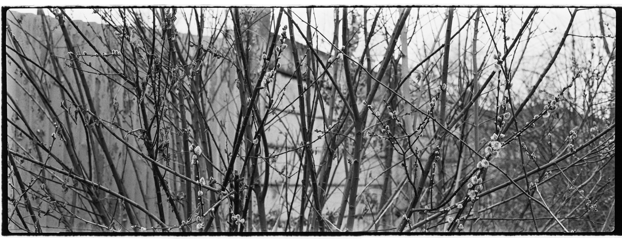 67pan-bw-2024-007-03