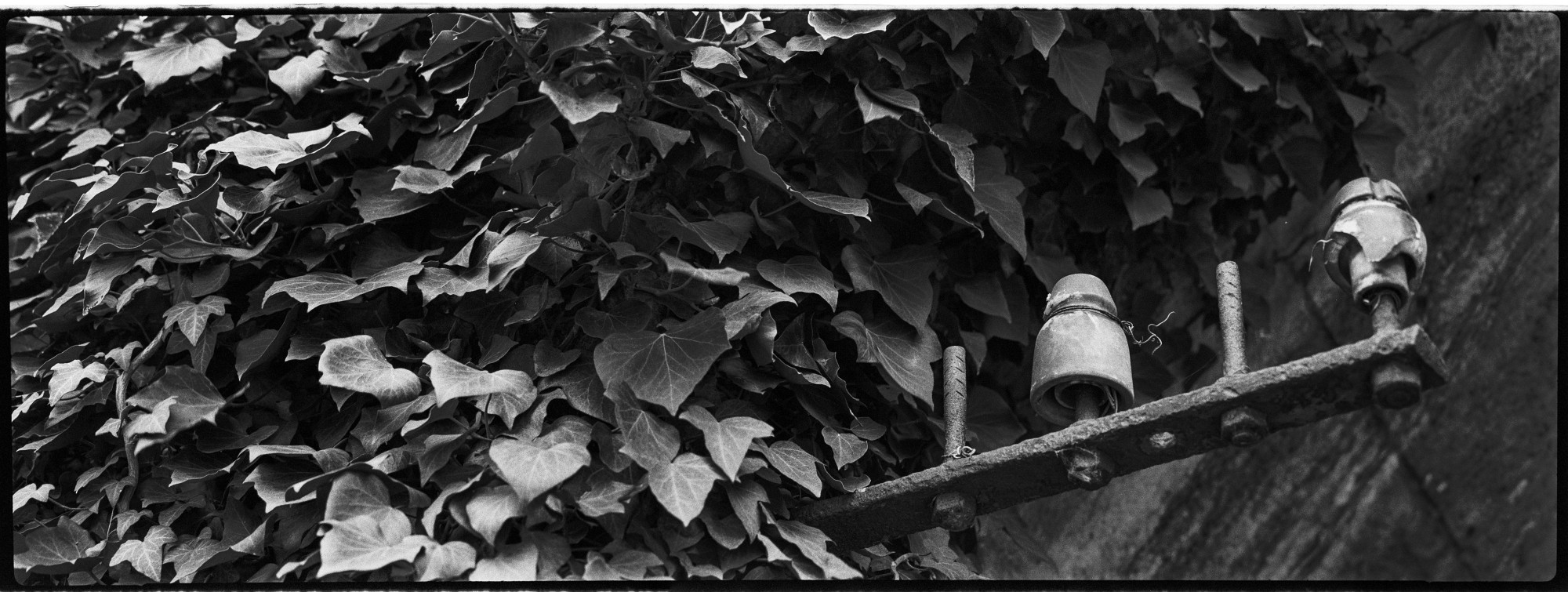 67pan-bw-2024-007-07