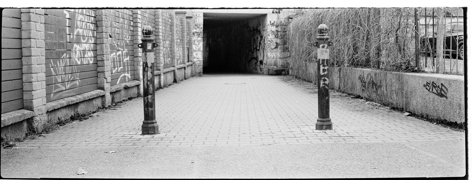 67pan-bw-2024-007-08