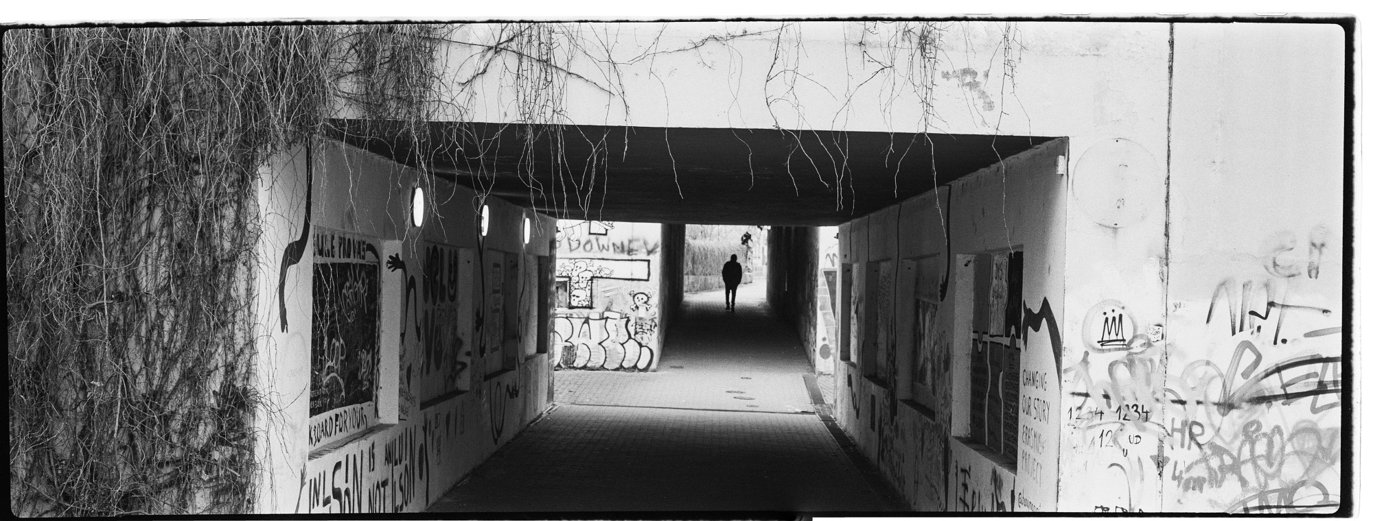 67pan-bw-2024-007-11
