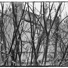 67pan-bw-2024-007-03 : 7:30min, IlfordD400, IlfotecHC 1:31, Mamiya7, Pano, Plzen