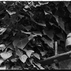 67pan-bw-2024-007-07 : 7:30min, IlfordD400, IlfotecHC 1:31, Mamiya7, Pano, Plzen