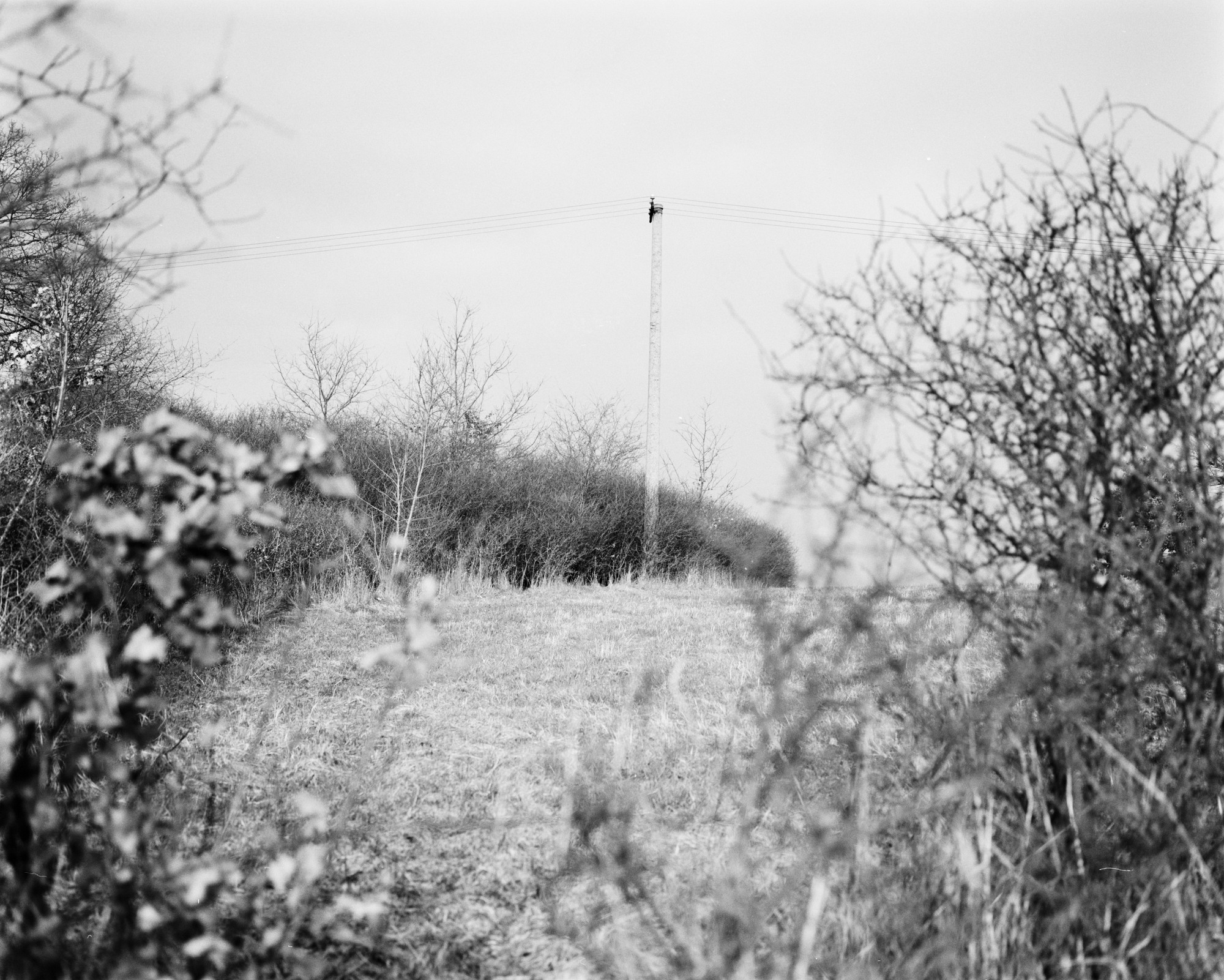 67-bw-2024-008-02