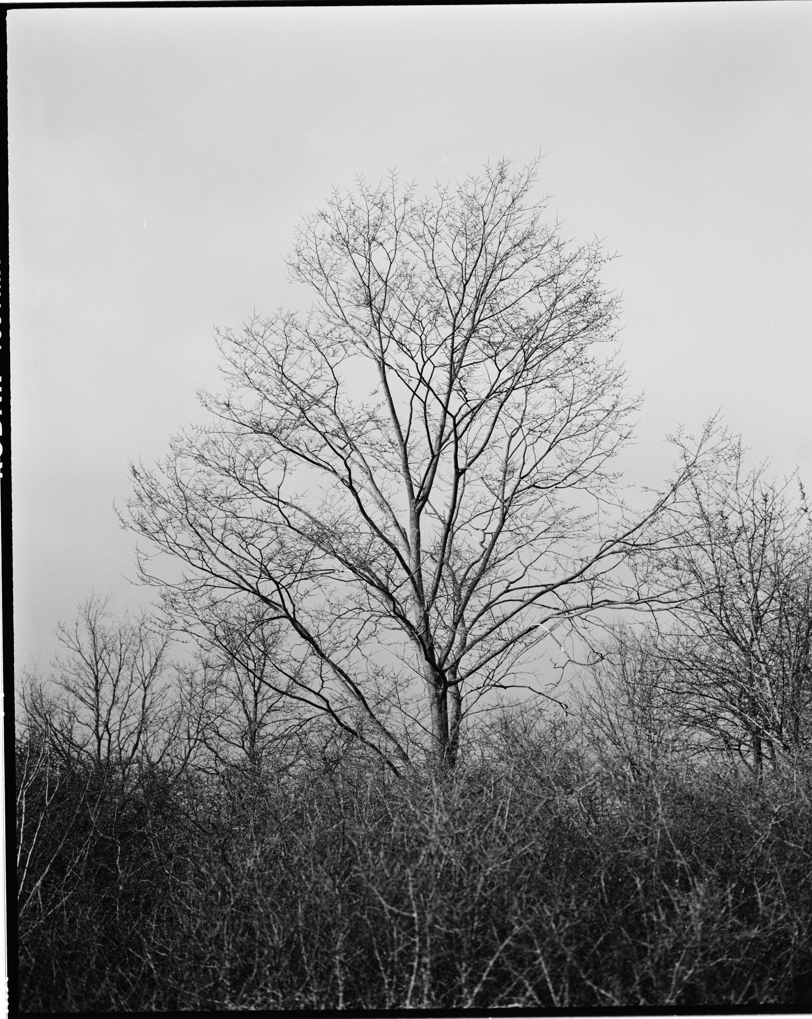 67-bw-2024-008-03