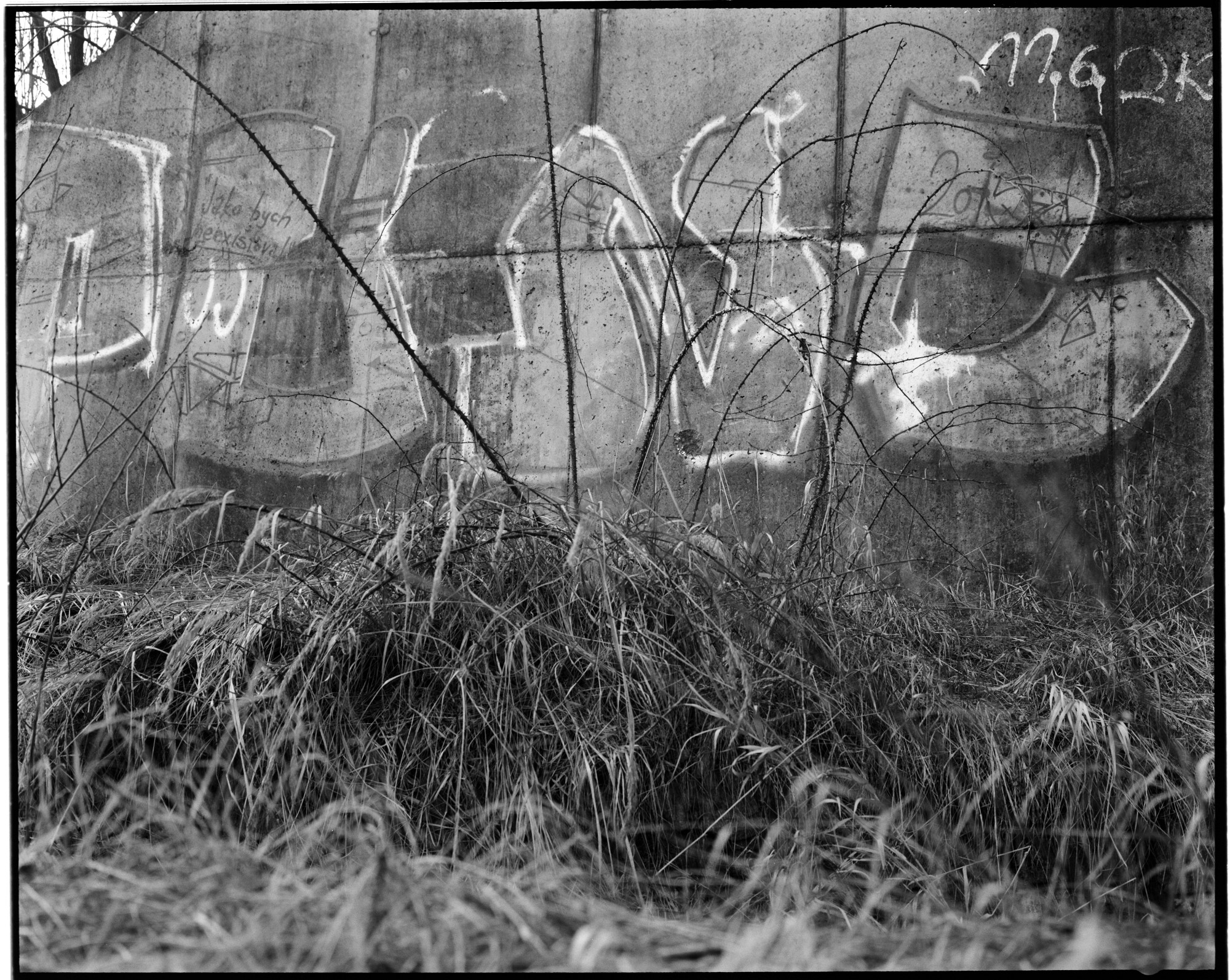67-bw-2024-008-09