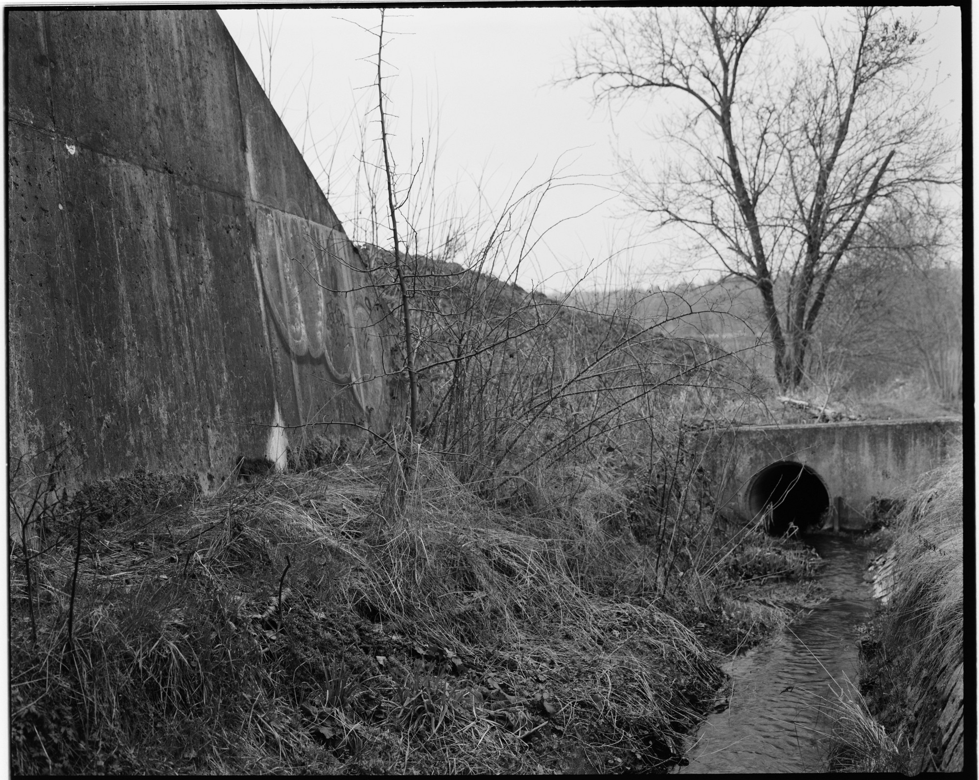 67-bw-2024-008-10