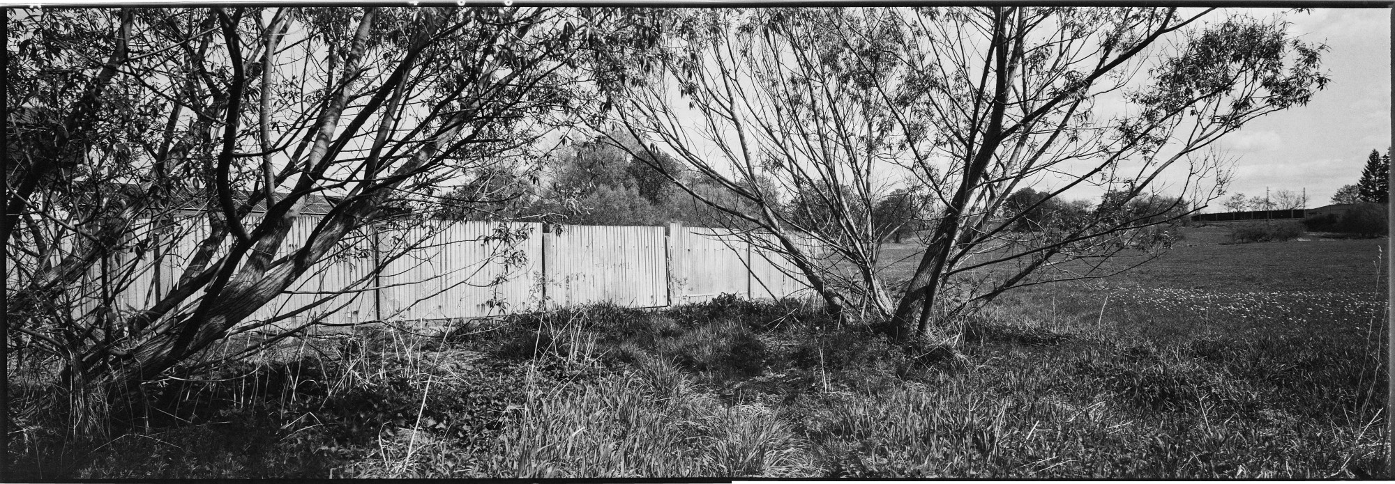 617-bw-2024-010-01