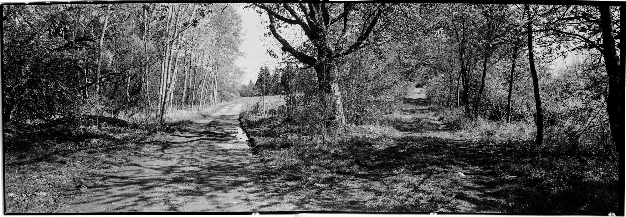 617-bw-2024-010-03
