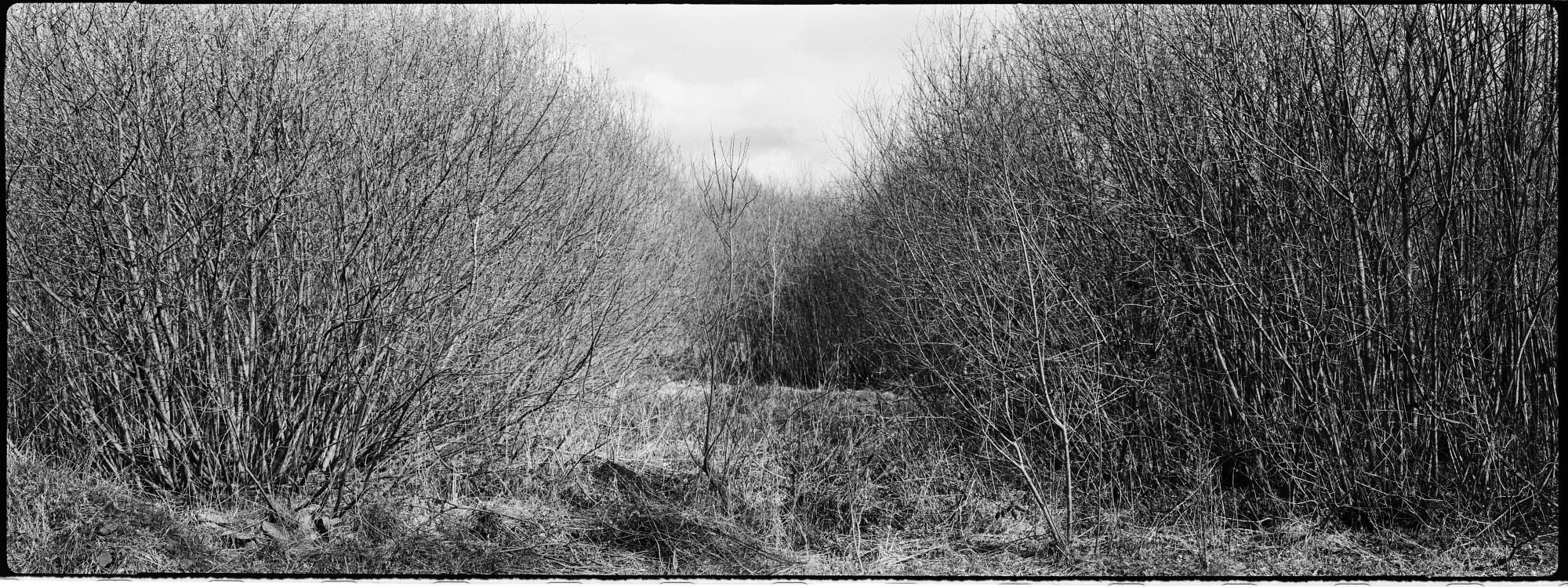  DSC8275-Pano