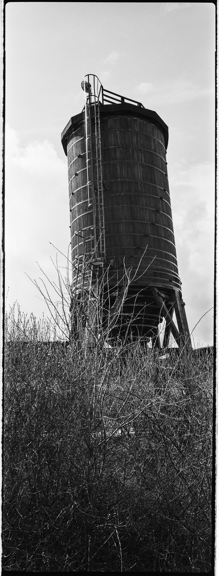  DSC8280-Pano