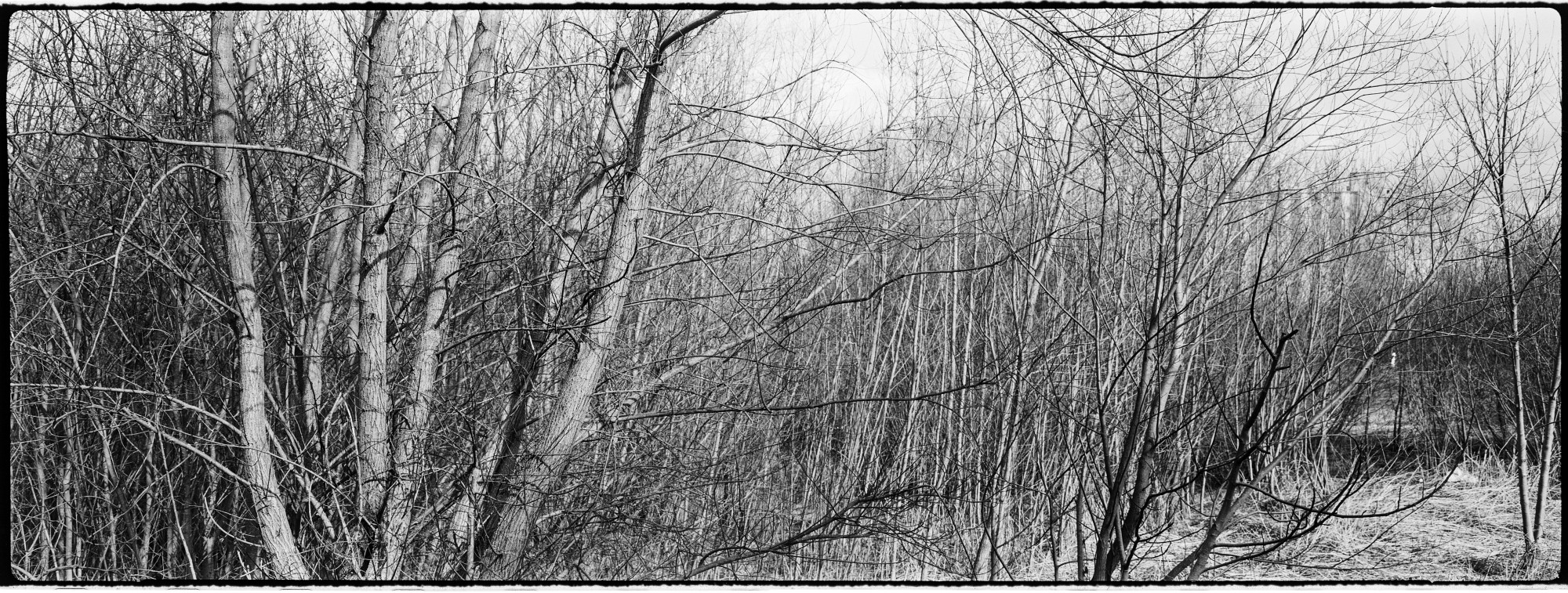  DSC8284-Pano