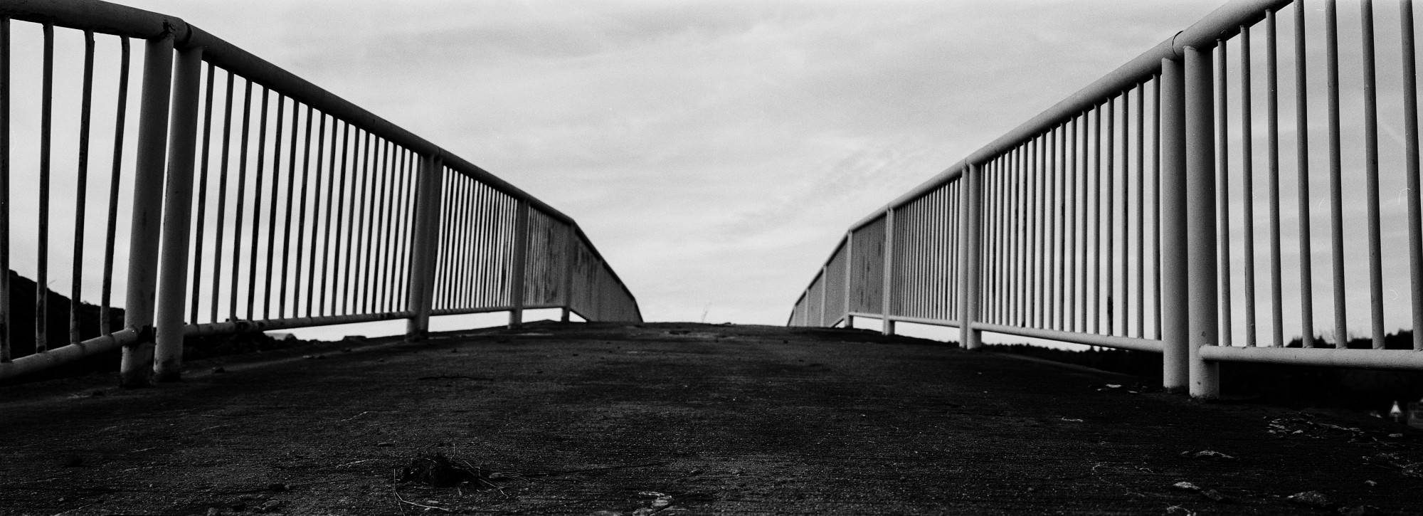 67pan-bw-2024-012-16