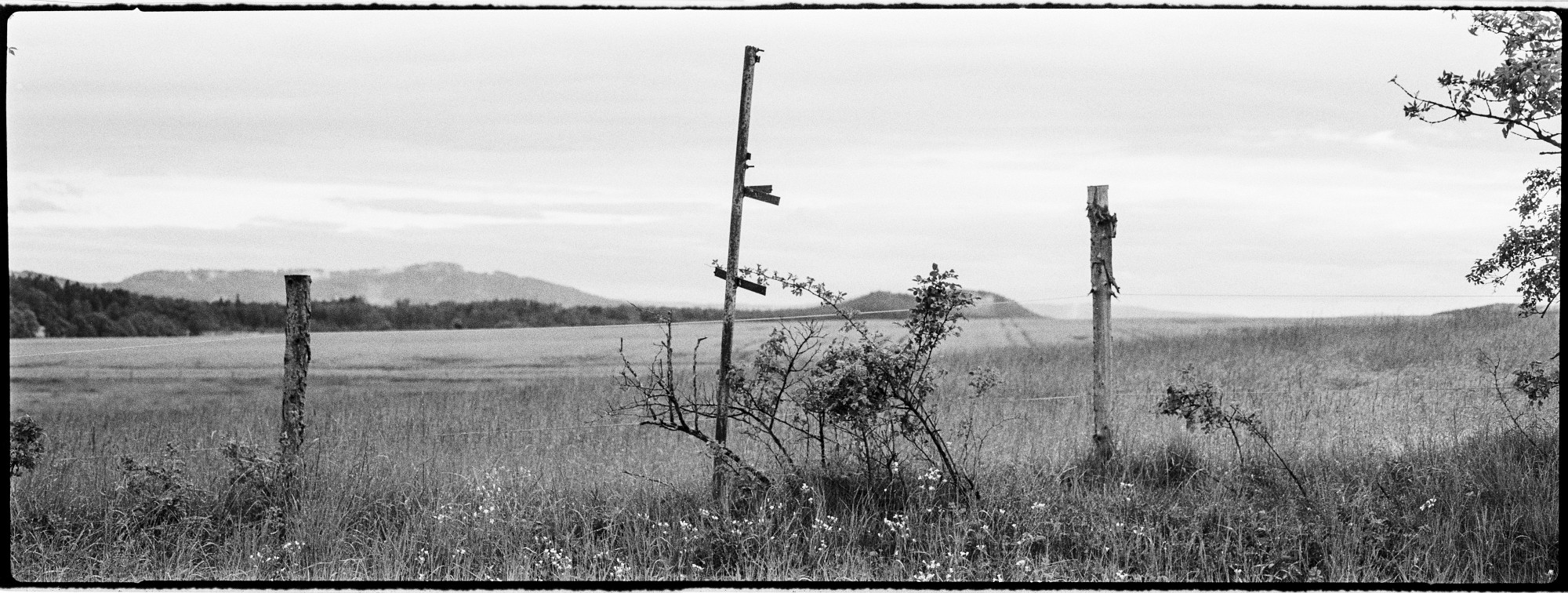 67pan-bw-2024-013-12