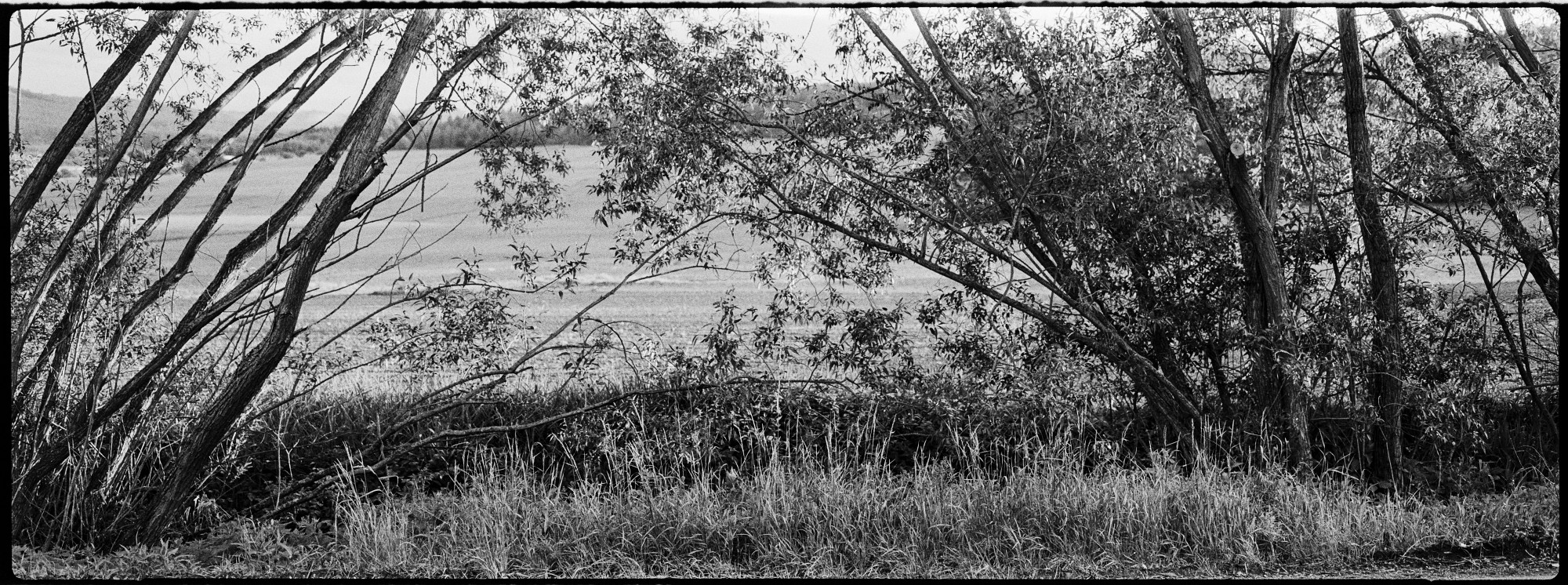 67pan-bw-2024-013-17