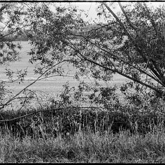 67pan-bw-2024-013-17 : 7:30min, HC, HP5+, Mamiya7, Pano