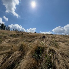 IMG 6595