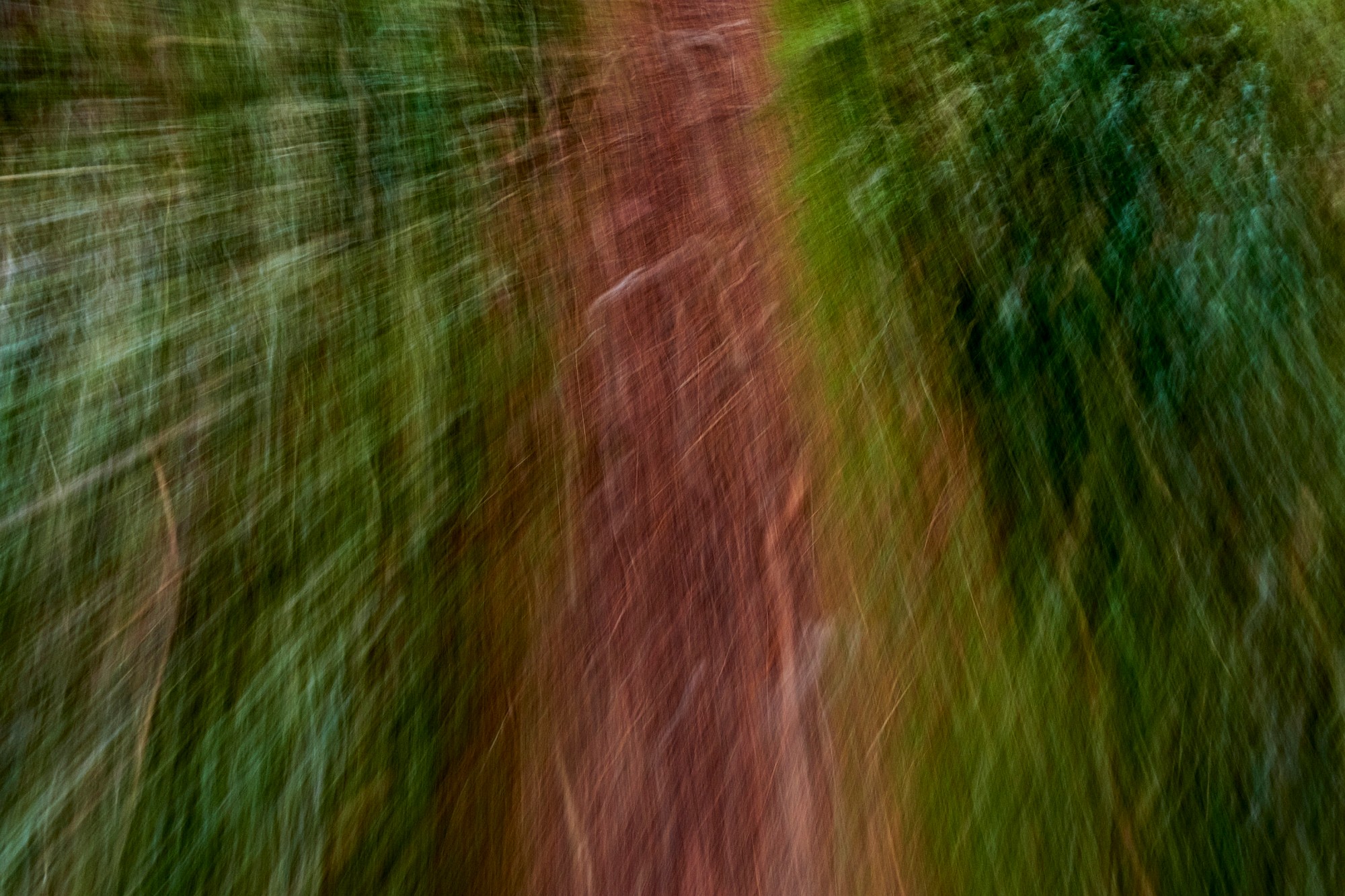2023-03-11-10746