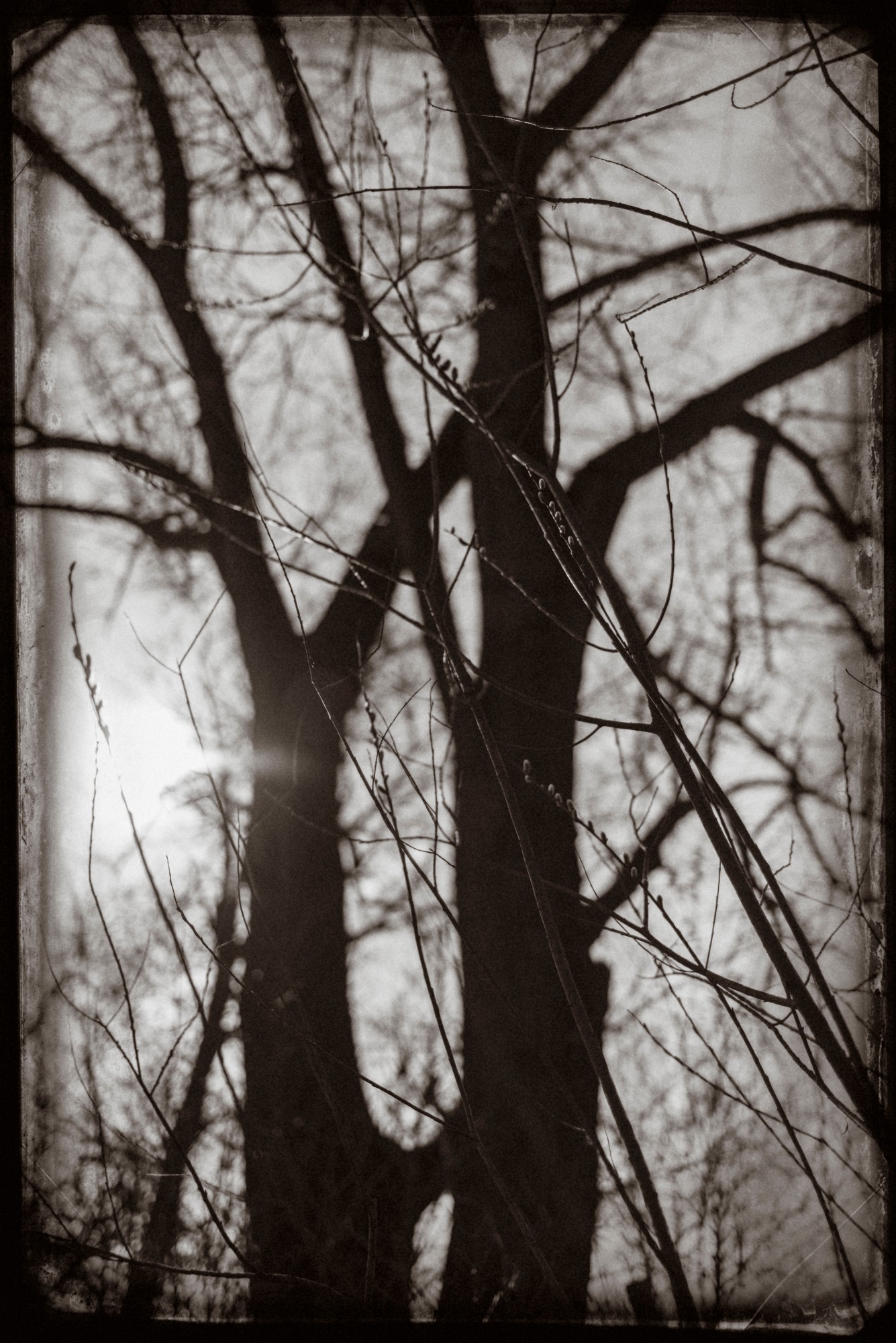 2014-03-21-0009
