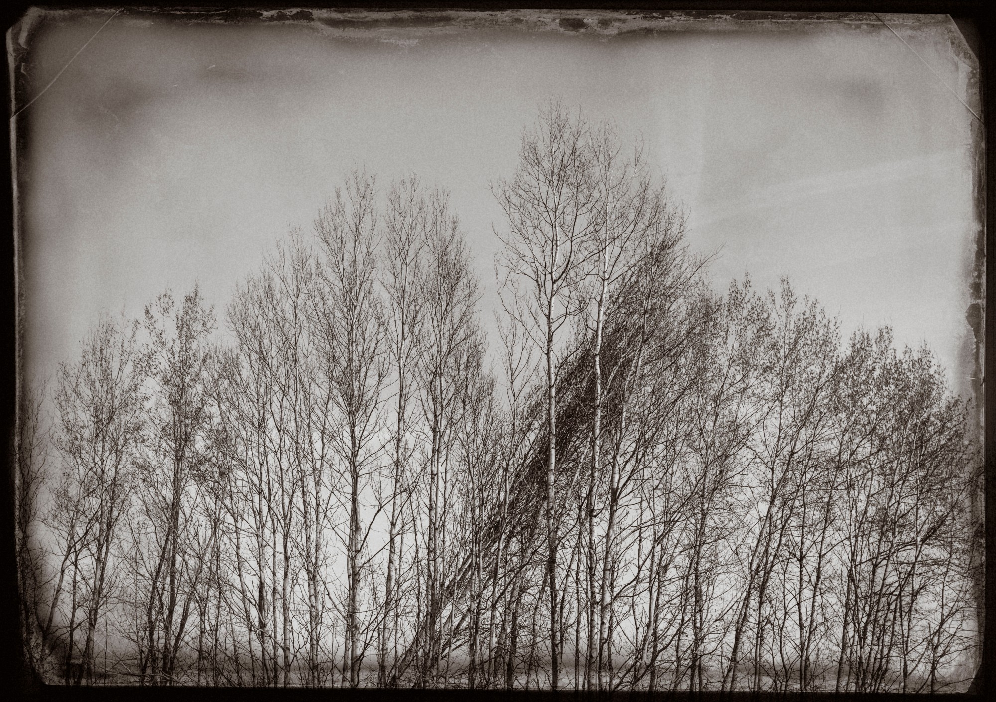 2014-03-21-0016