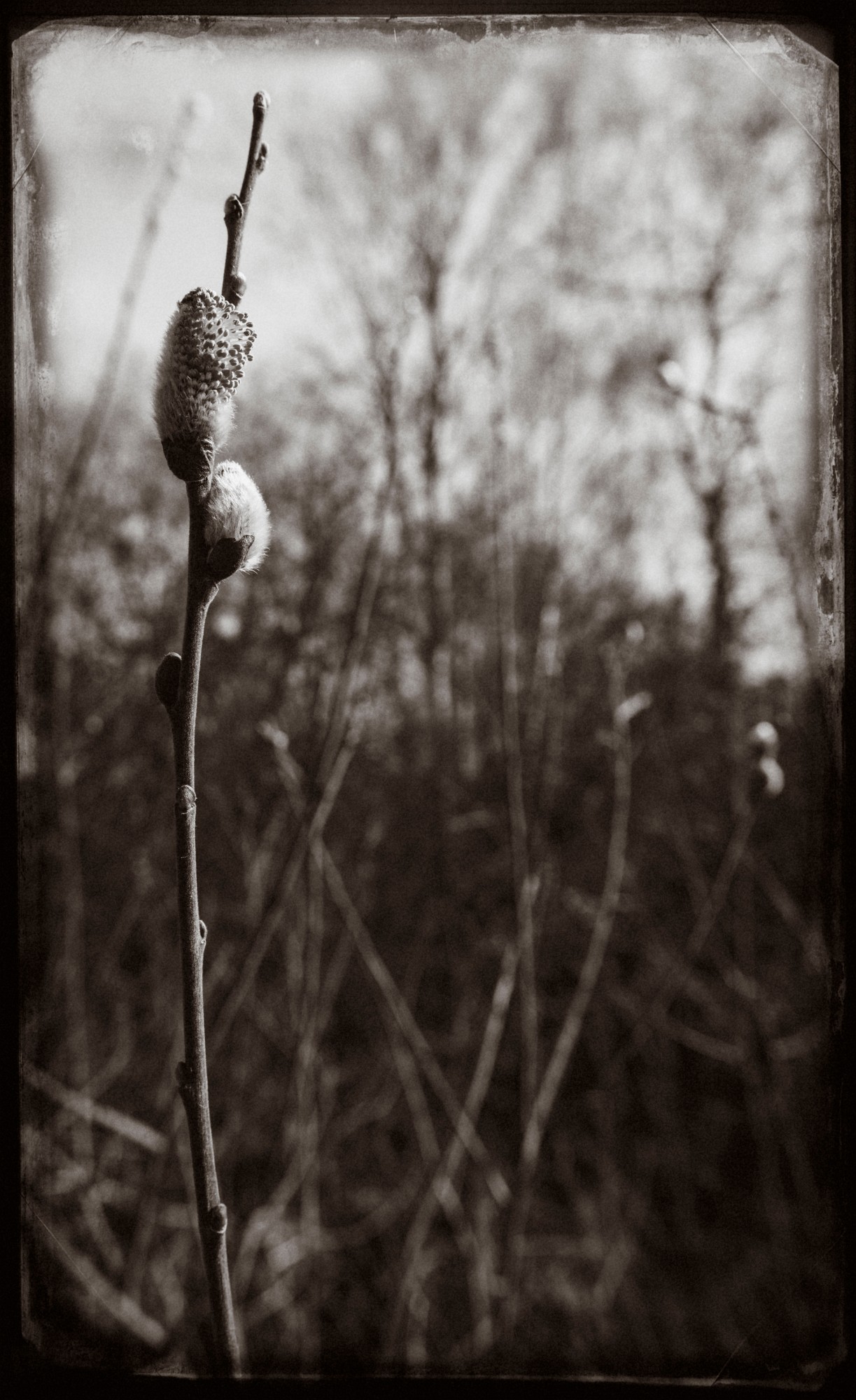 2014-03-21-0042