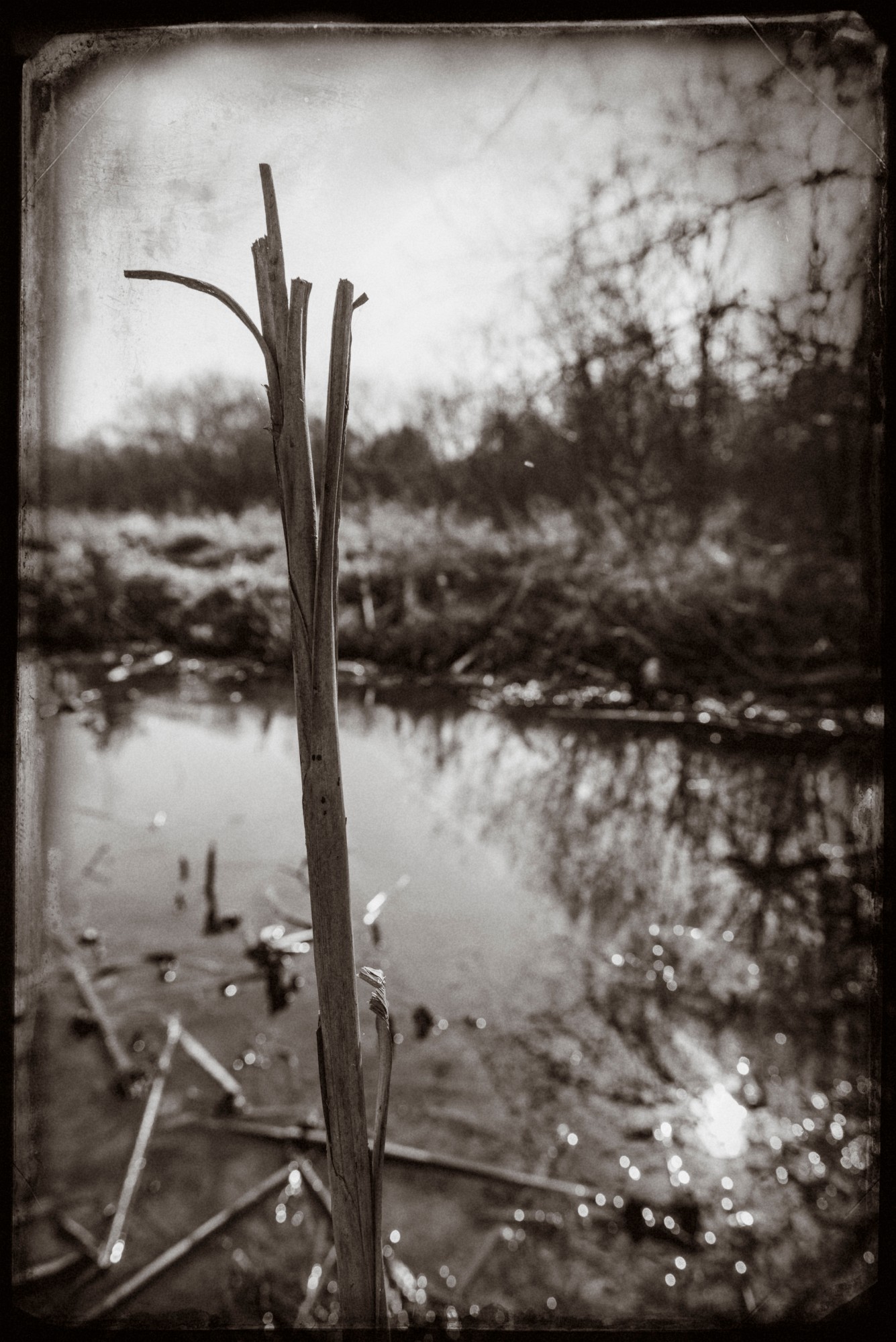 2014-03-21-0072