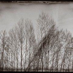2014-03-21-0016 : Klabava