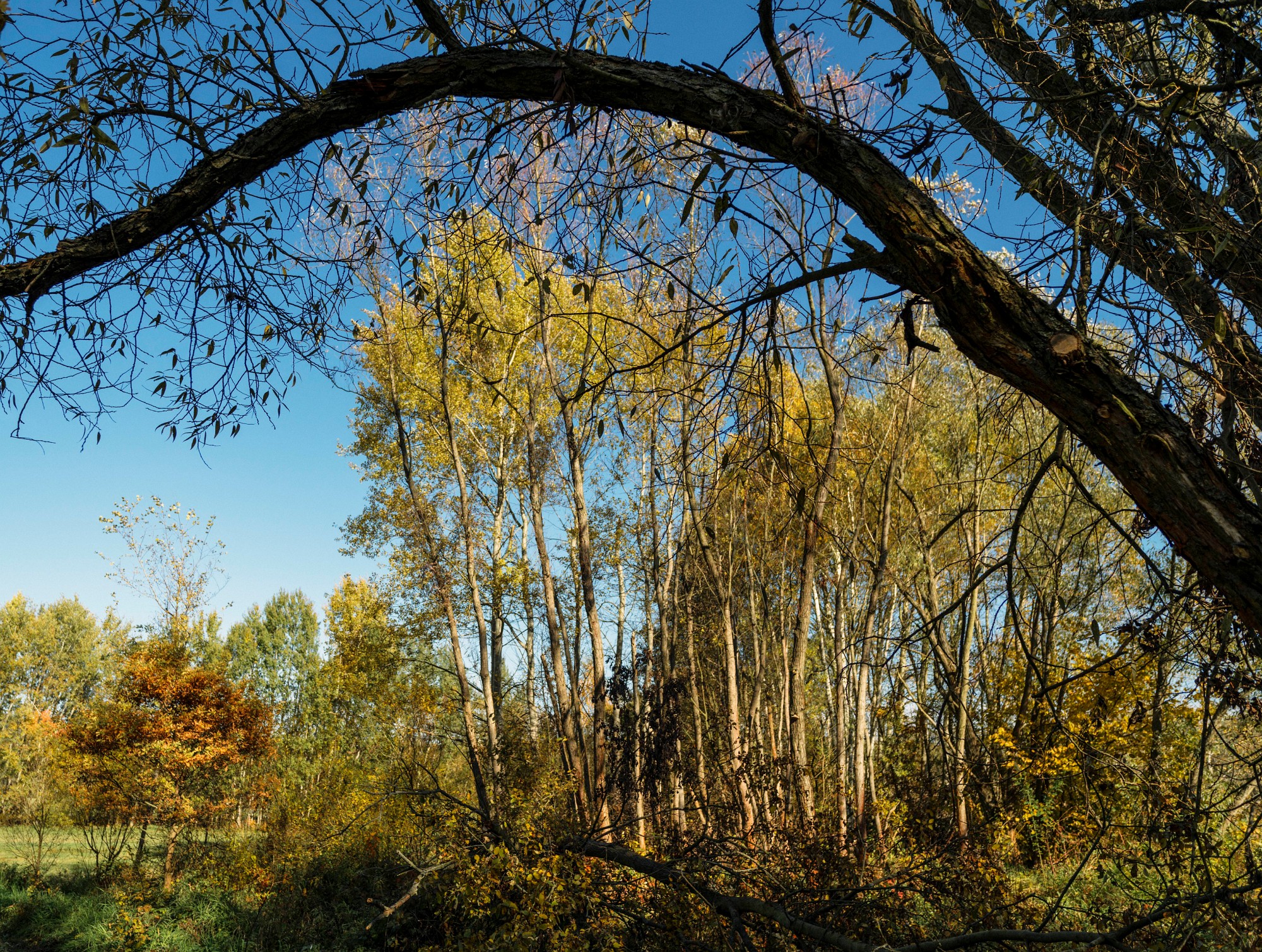 2013-10-19-0089