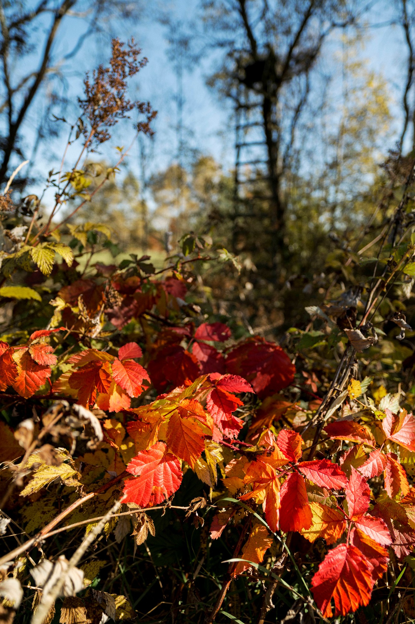 2013-10-19-0093