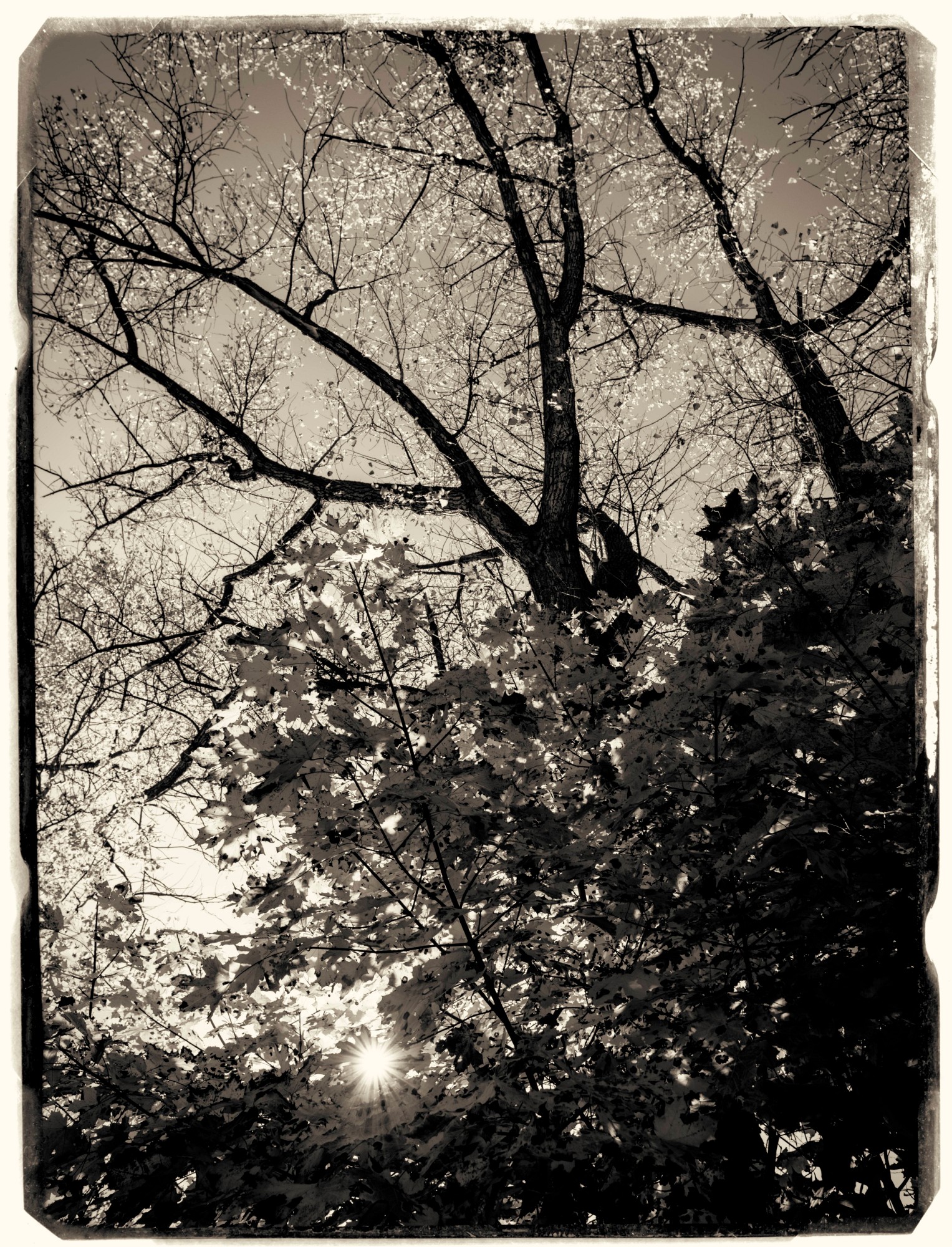 2013-10-19-0173