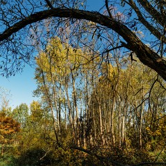 2013-10-19-0089