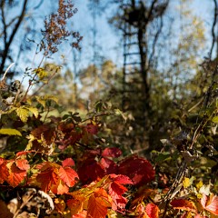 2013-10-19-0093