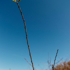 2013-10-19-0161