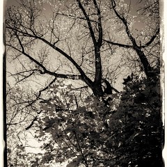 2013-10-19-0173