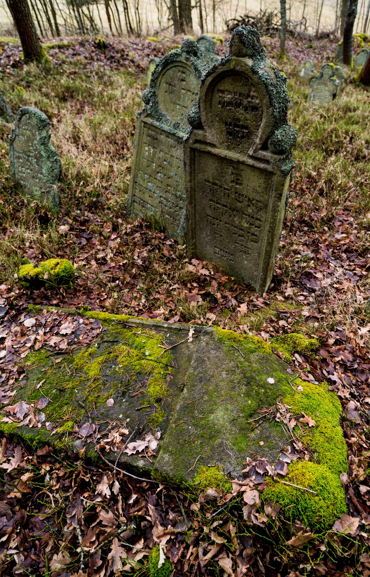 2013-12-29-0240