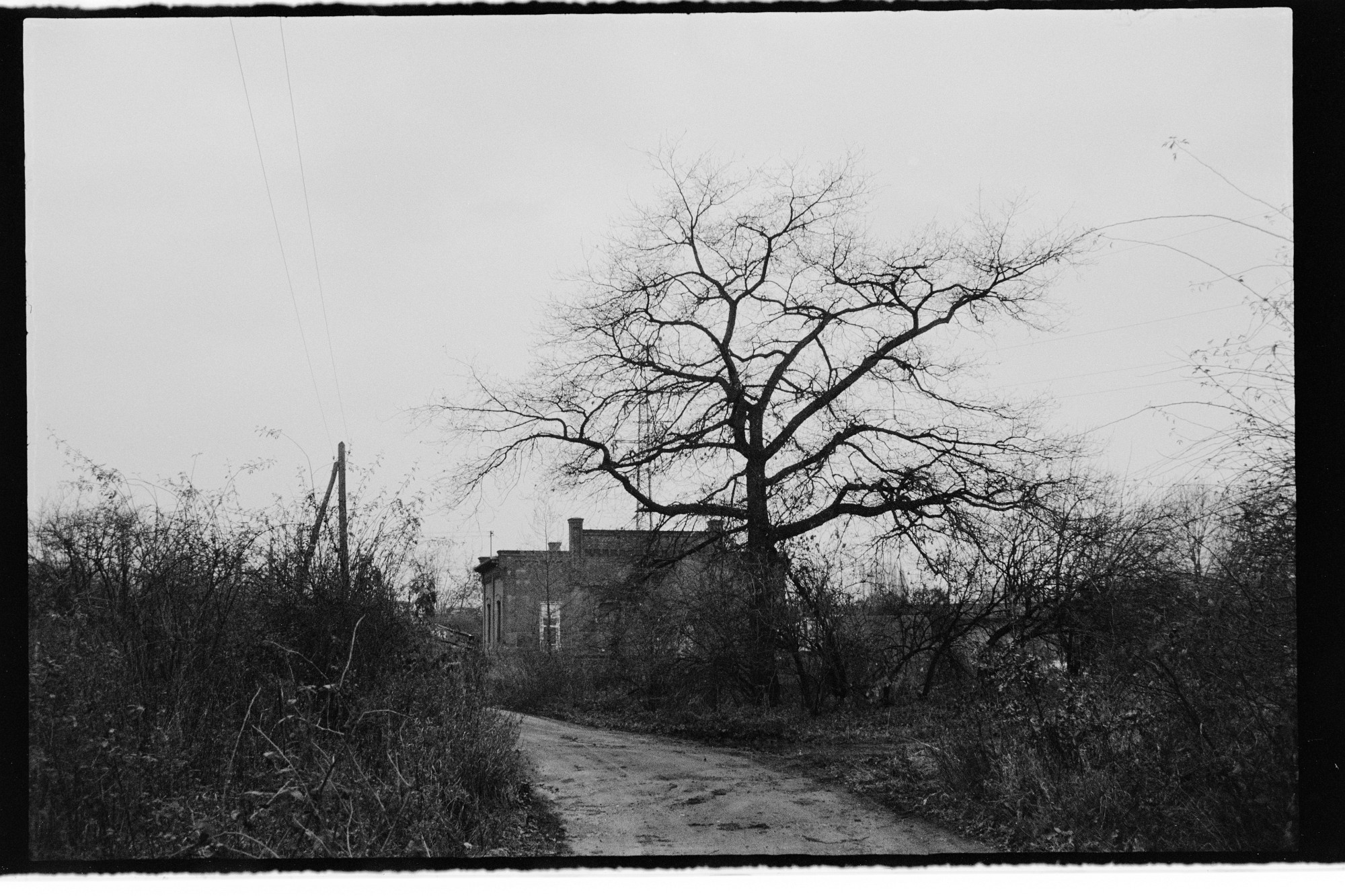  DSC2681