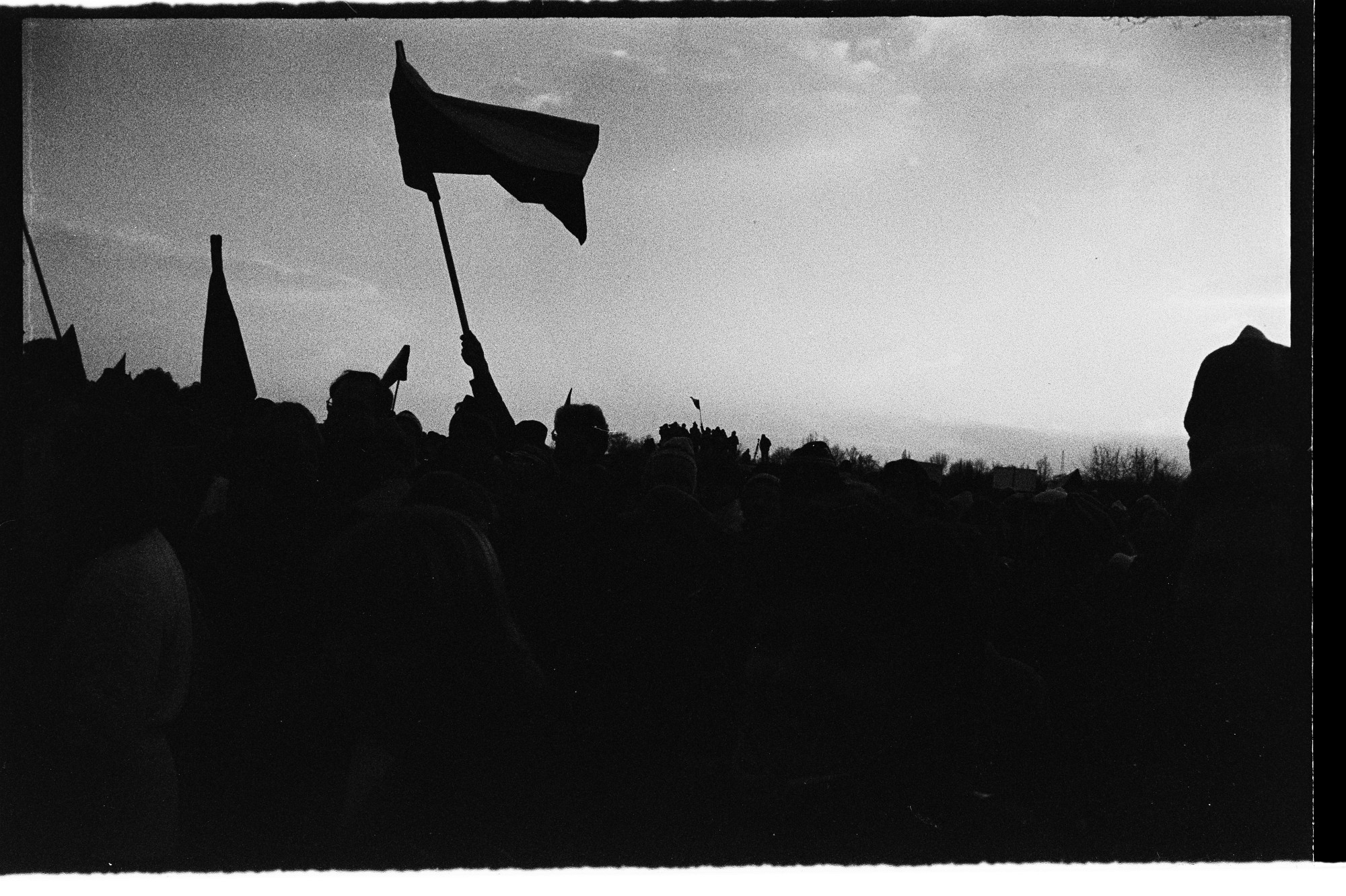  DSC2725
