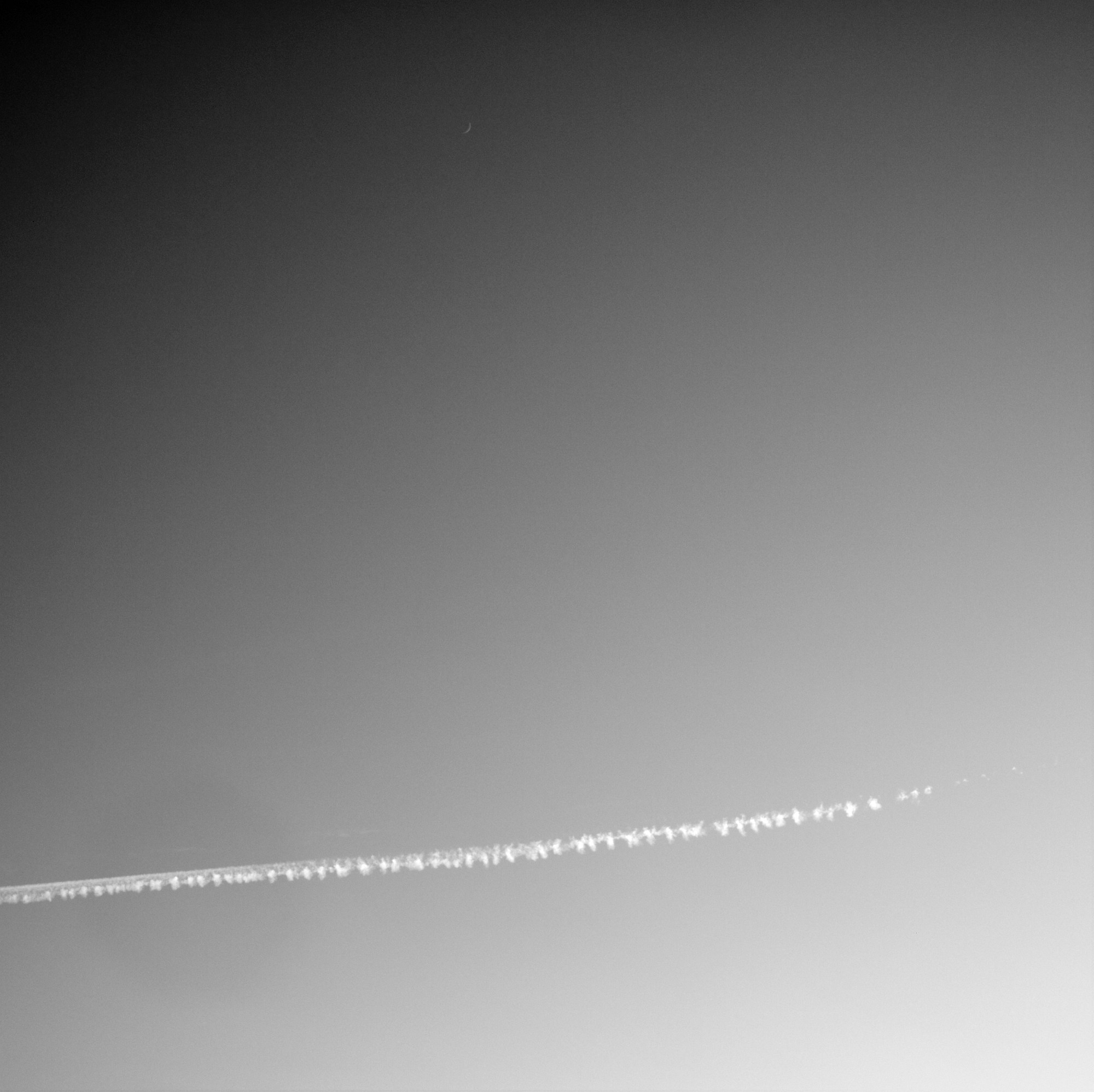 2011-02-07-3178